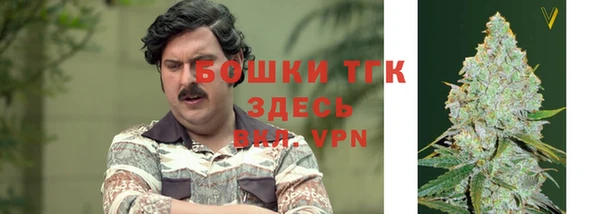 твердый Балахна