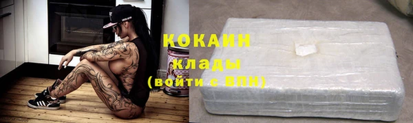 шишки Ельня