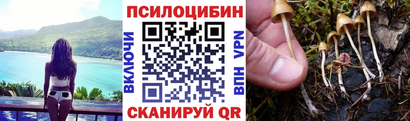Псилоцибиновые грибы Psilocybine cubensis  ссылка на мегу ссылки  нарко площадка как зайти  магазин    Вичуга 
